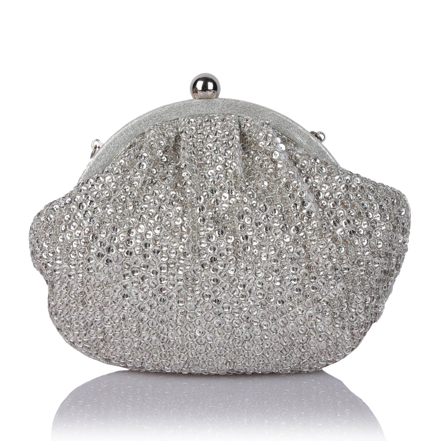 Begum silver bag
