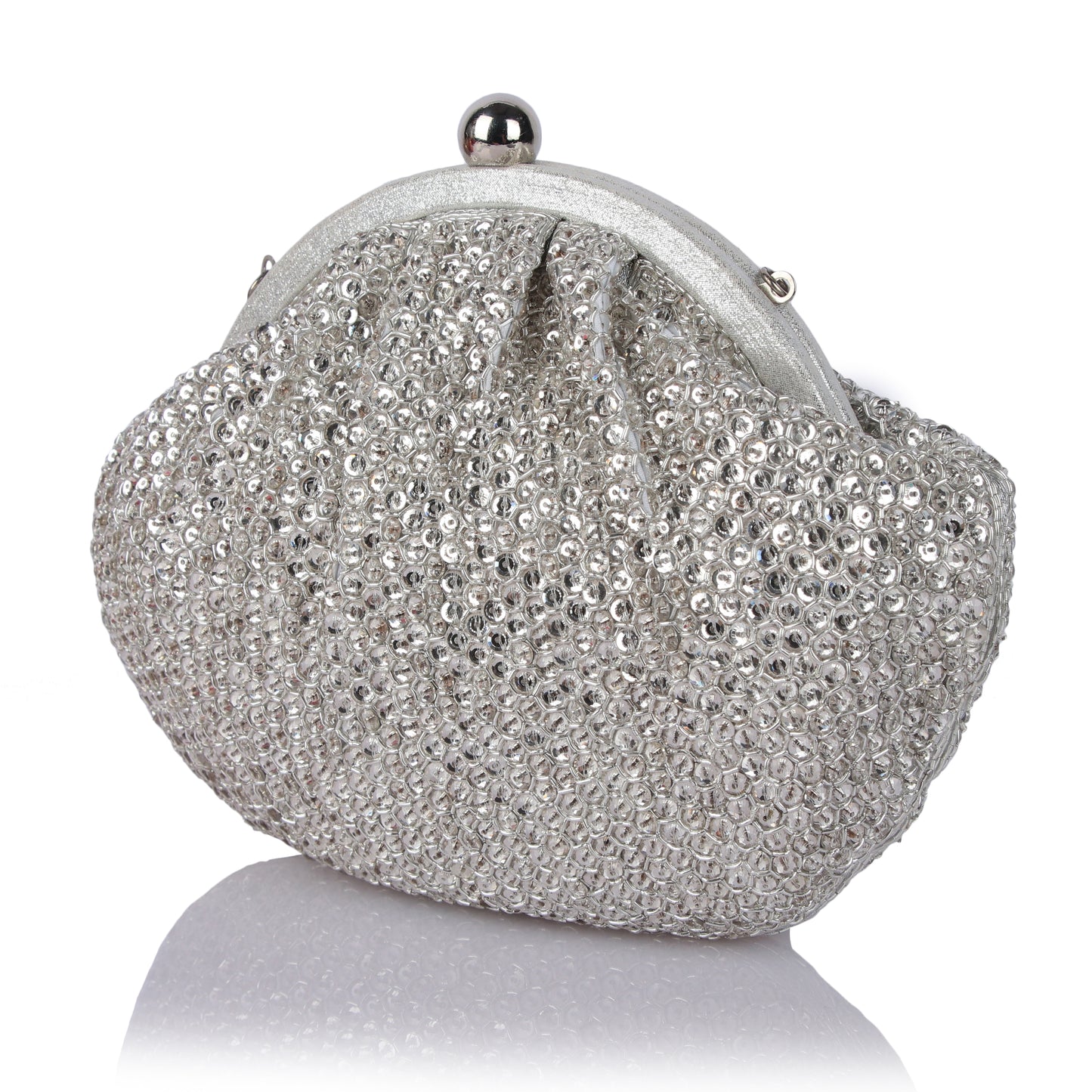 Begum silver bag